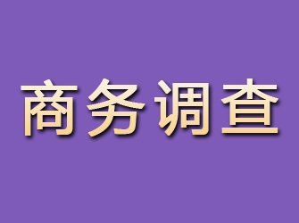 上街商务调查